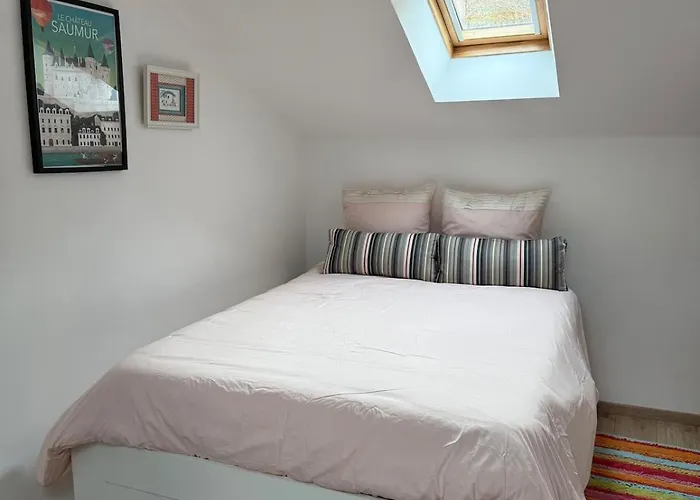 Сasa de vacaciones La Demoiselle De Montsoreau